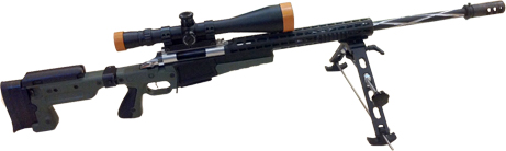 Dolphin Long Range Match Rifles